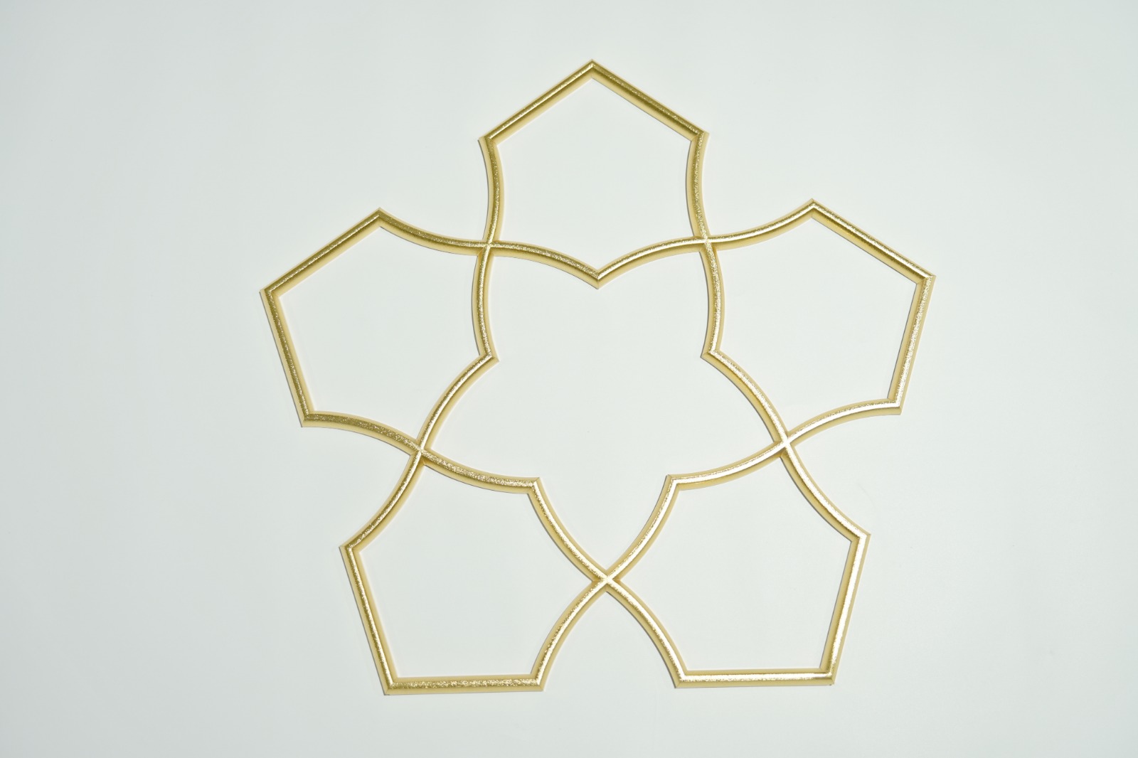 WhatsApp Image 2025-11-13 at 17.10.18 (1)